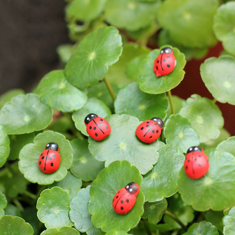 100pcs Mini Ladybugs Wood Craf - Art Craft Ladybug recension och pris