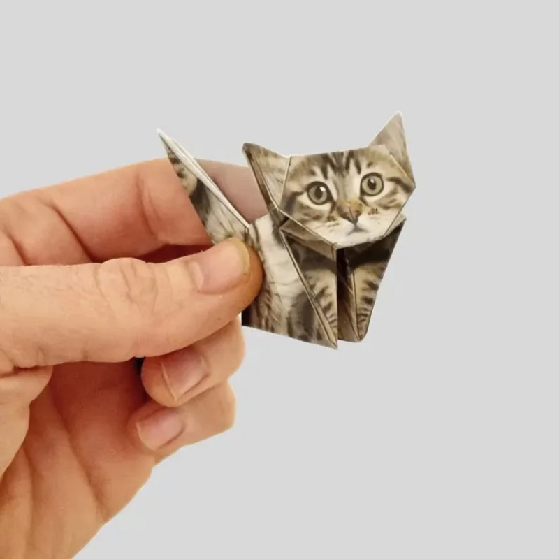 Creative DIY Origami Paper Set - Dinosaur And Craft recension och pris