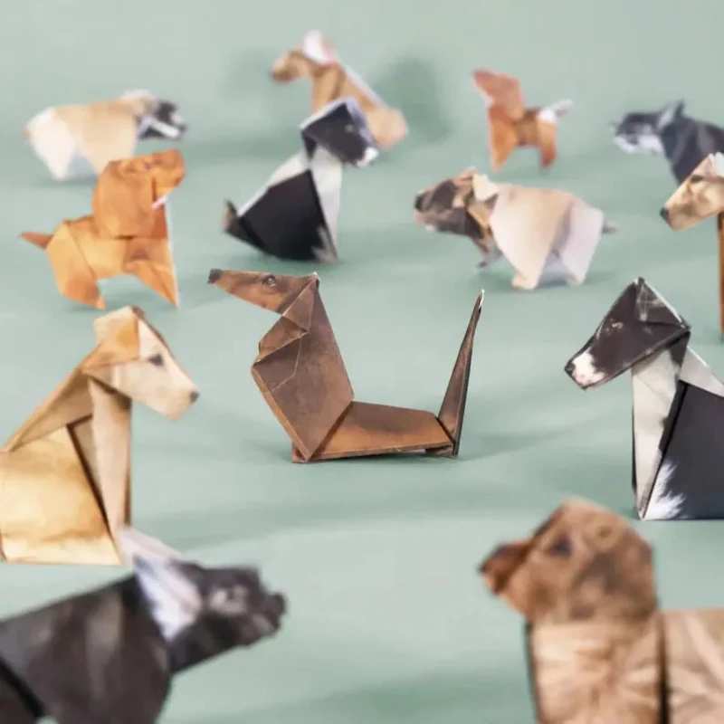 Creative DIY Origami Paper Set - Dinosaur And Craft recension och pris