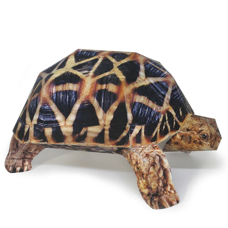 Indian Star Tortoise Paper Mod - Art Craft Center recension och pris