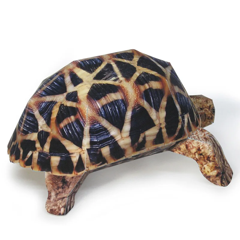 Indian Star Tortoise Paper Mod - Art Craft Center recension och pris
